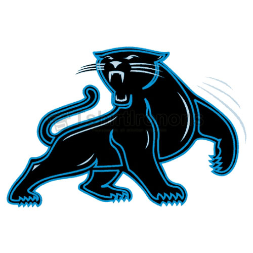 Carolina Panthers T-shirts Iron On Transfers N438